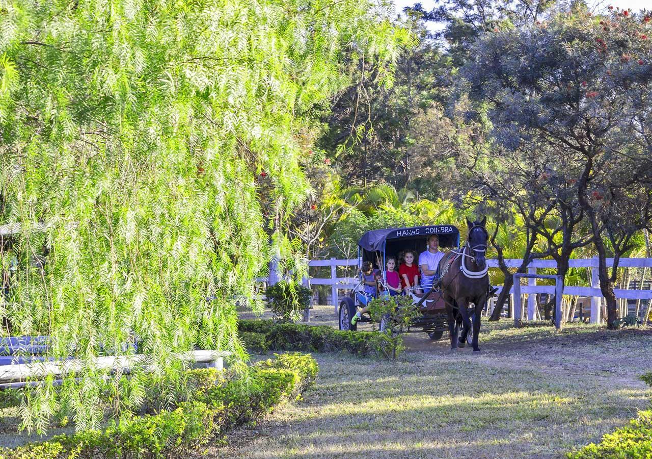 Brotas Eco Hotel Fazenda Exteriér fotografie